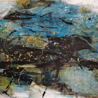 Mangroves in the Rain 1